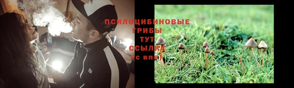 альфа пвп Богородицк