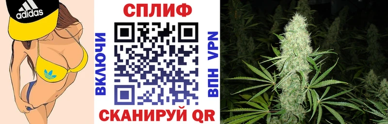 Бошки Шишки THC 21%  закладки  Вилючинск 